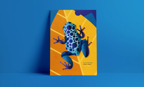 Blue poison dart frog #blueanimalchallenge