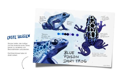 Blue poison dart frog #blueanimalchallenge